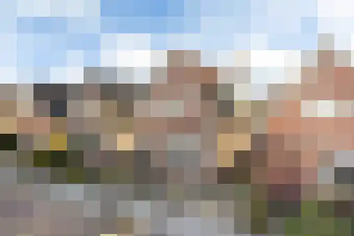 Vogelzang 112 Drachten thumbnail 34
