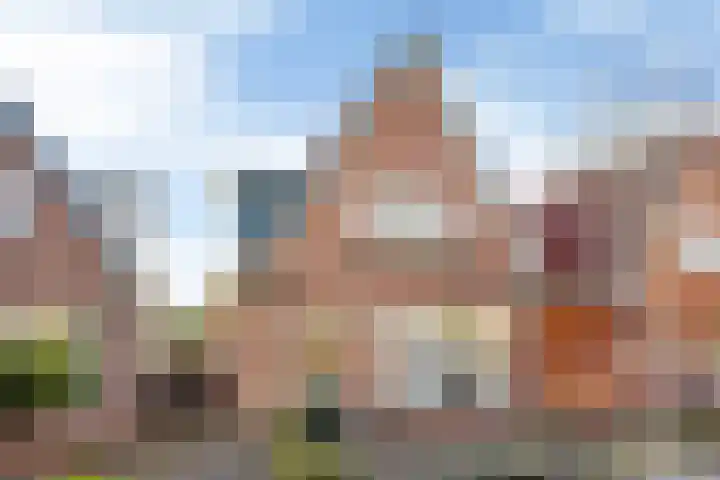 Vogelzang 112 Drachten thumbnail 36