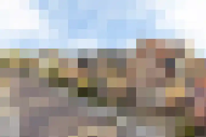 Vogelzang 112 Drachten thumbnail 5
