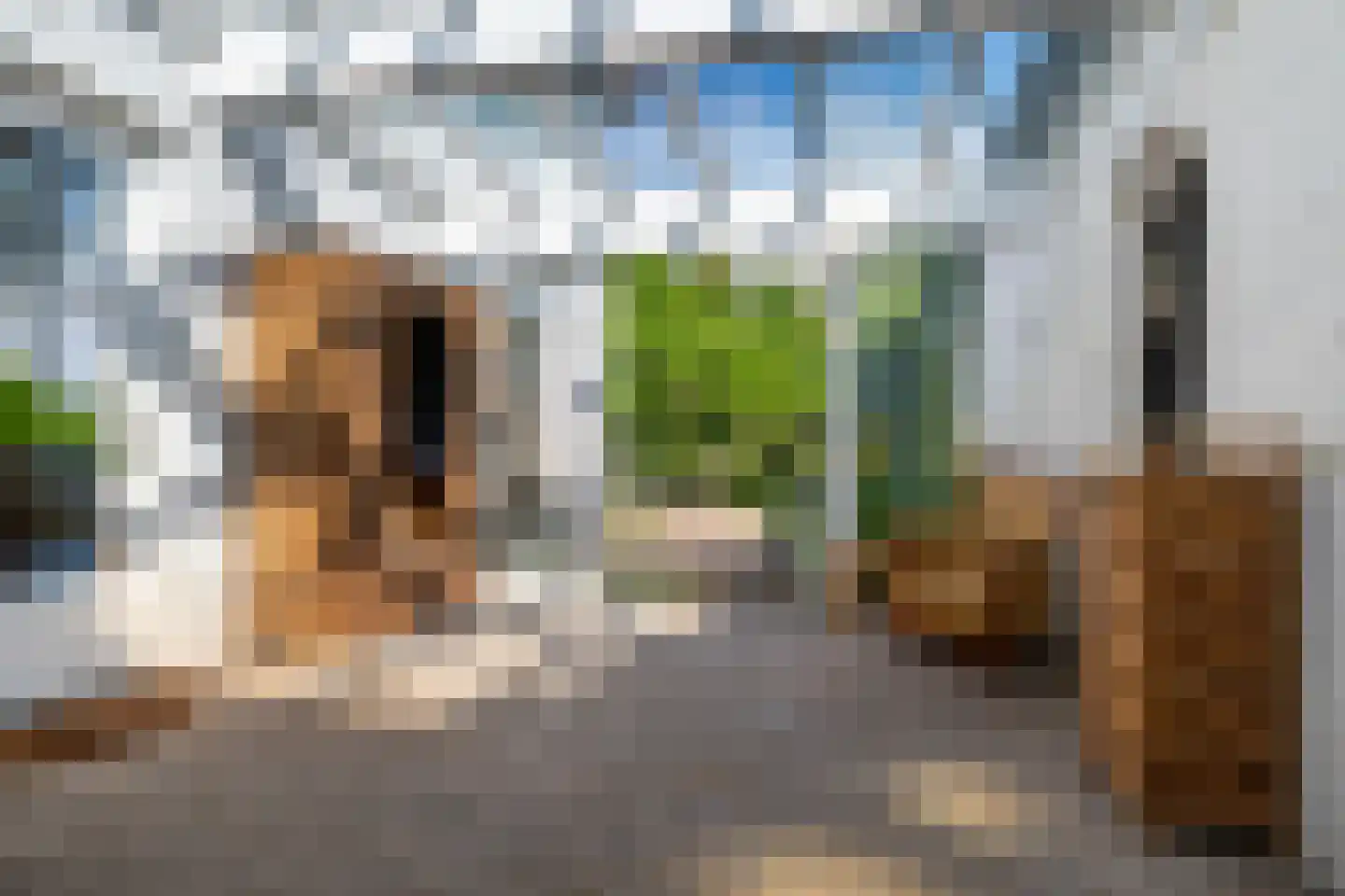 Vogelzang 15 Meerssen thumbnail 16