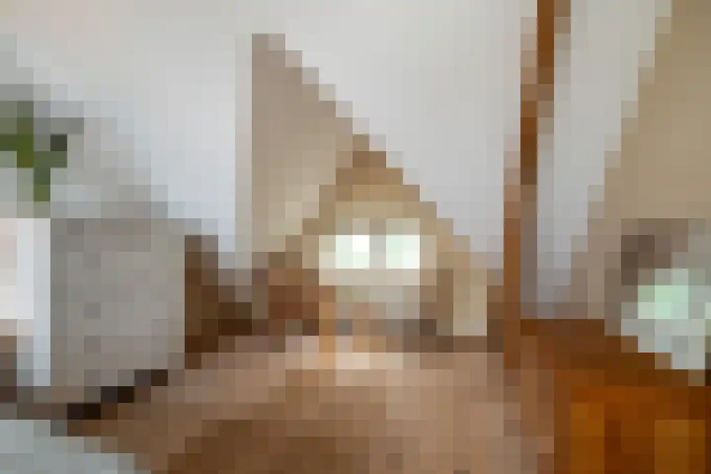 Vogelzang 15 Meerssen thumbnail 28