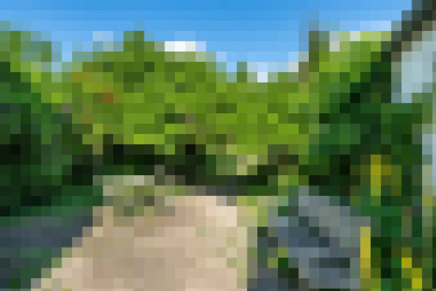Vogelzang 15 Meerssen thumbnail 34