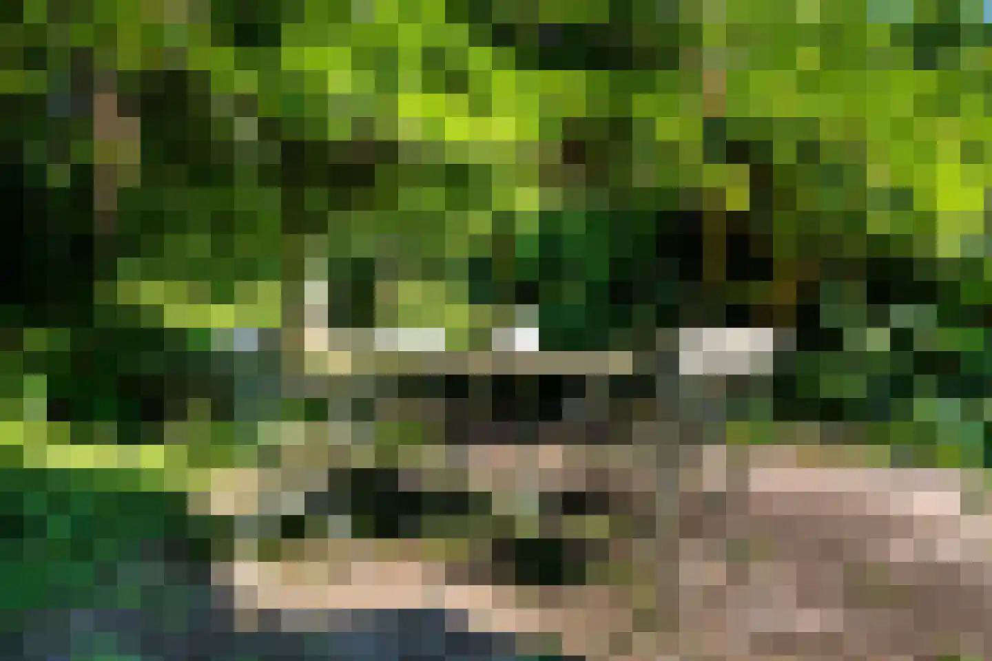 Vogelzang 15 Meerssen thumbnail 35