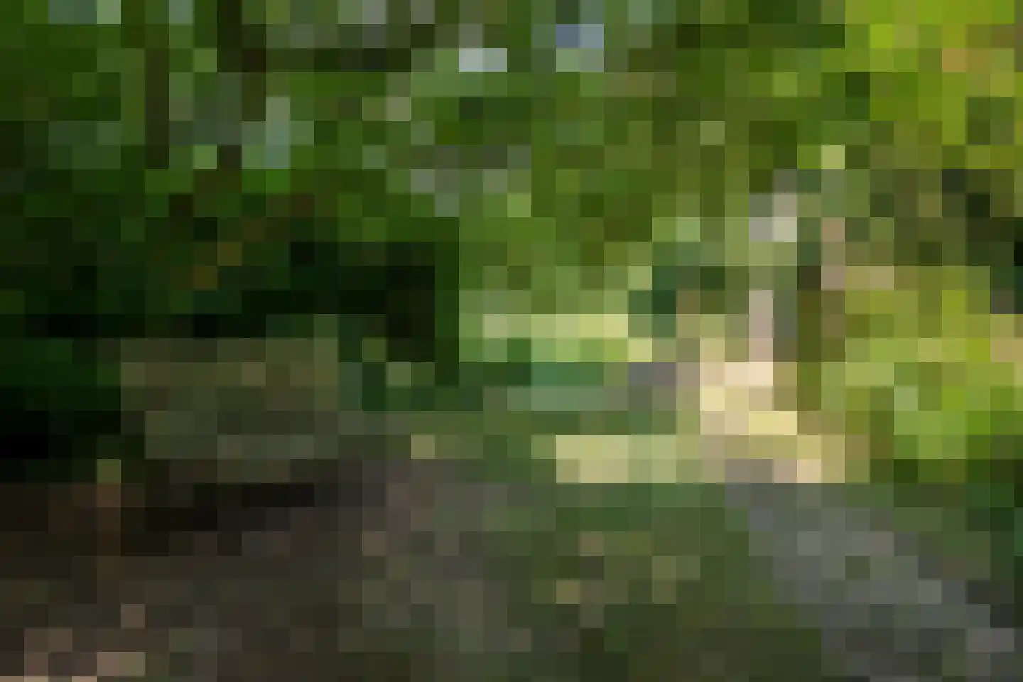 Vogelzang 15 Meerssen thumbnail 36