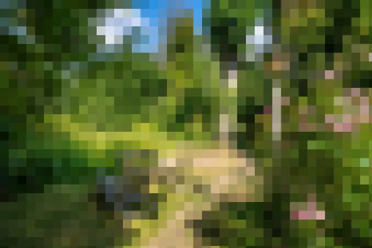 Vogelzang 15 Meerssen thumbnail 37