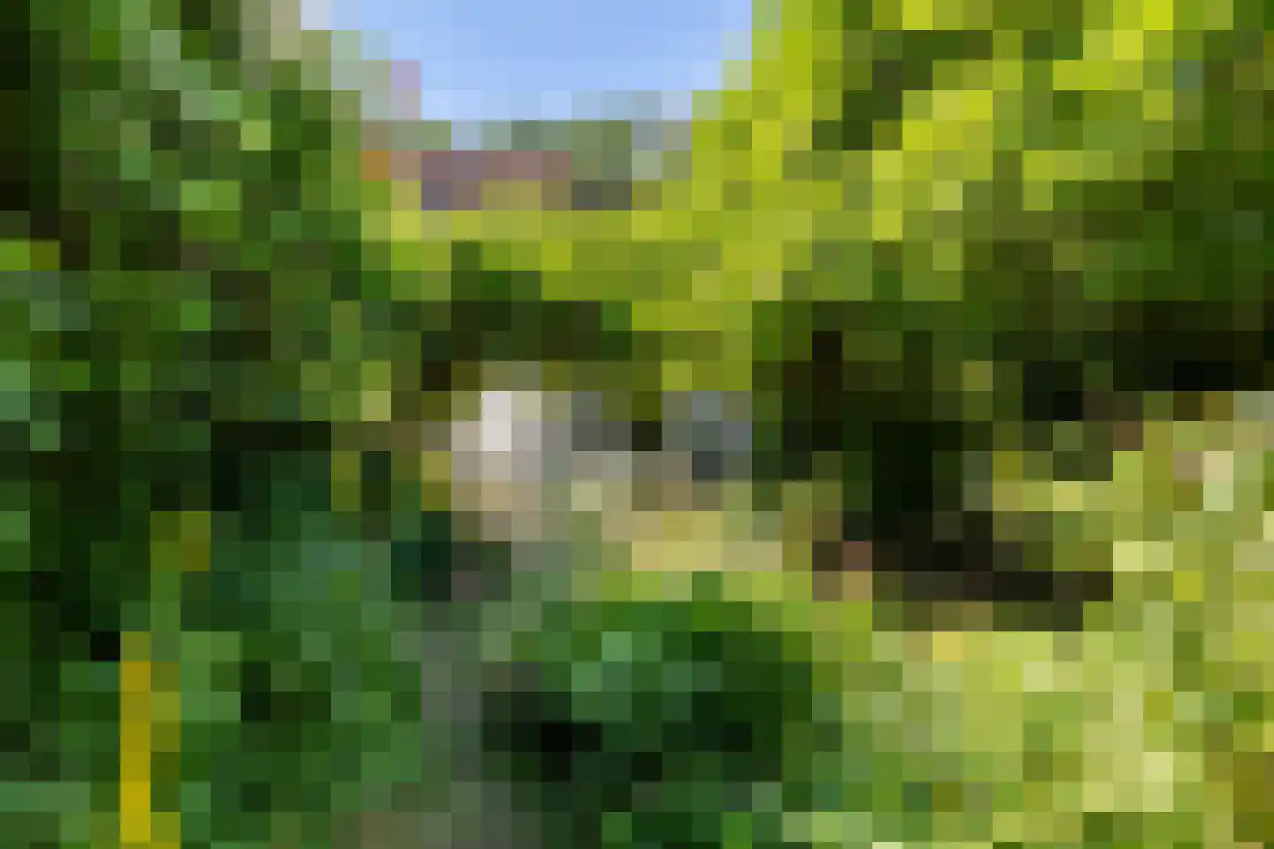 Vogelzang 15 Meerssen thumbnail 38