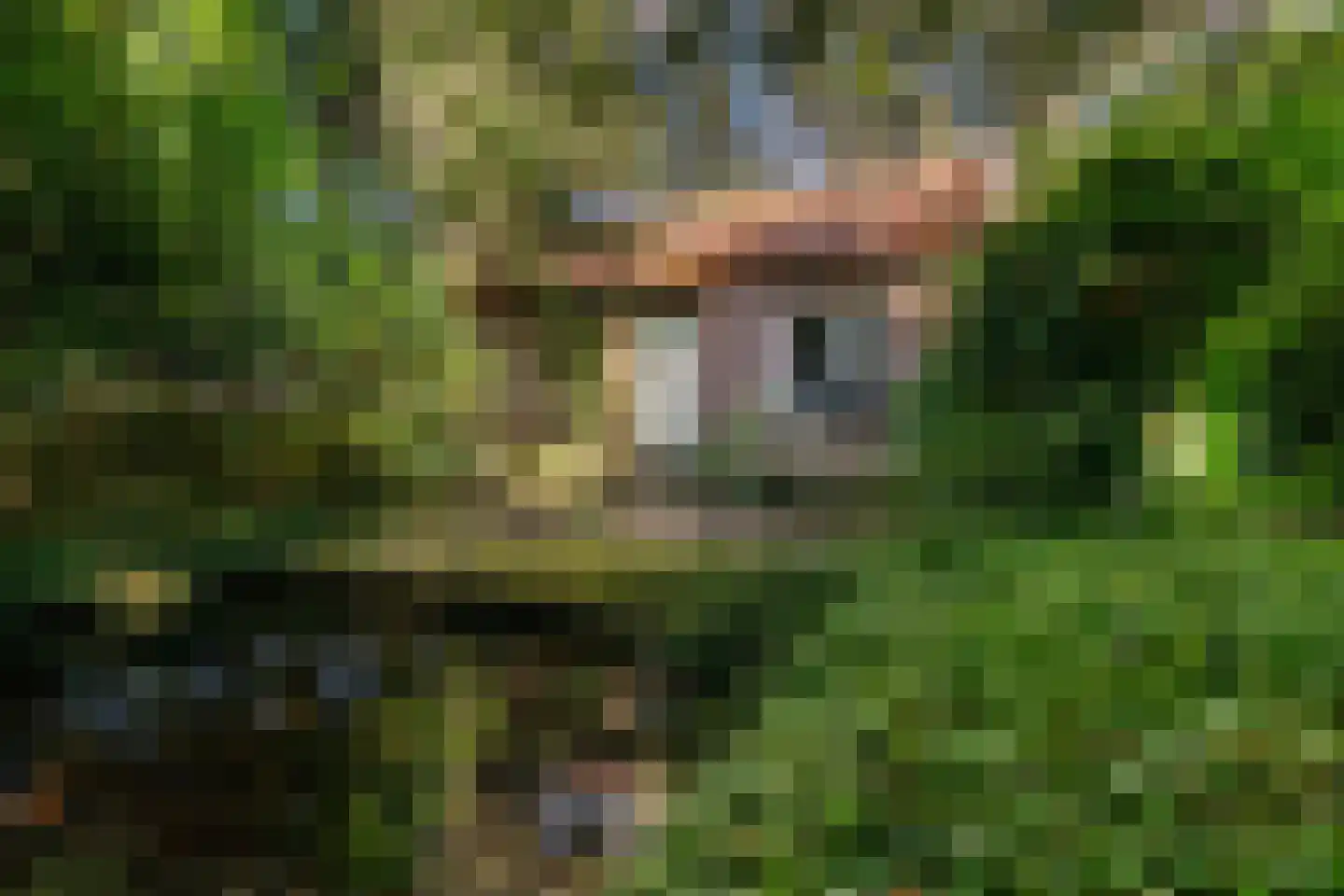 Vogelzang 15 Meerssen thumbnail 39