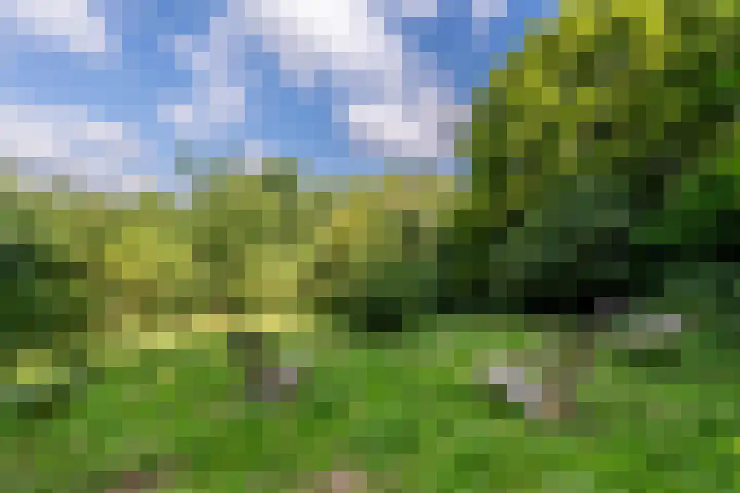 Vogelzang 15 Meerssen thumbnail 42