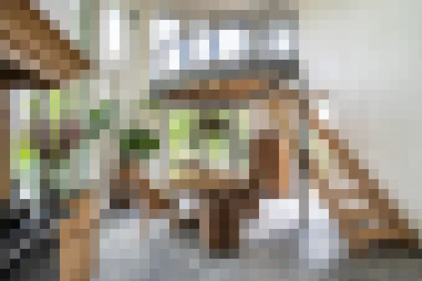 Vogelzang 15 Meerssen thumbnail 5