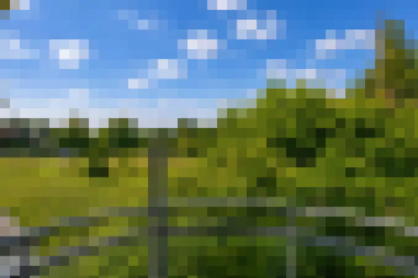 Vogelzang 15 Meerssen thumbnail 6