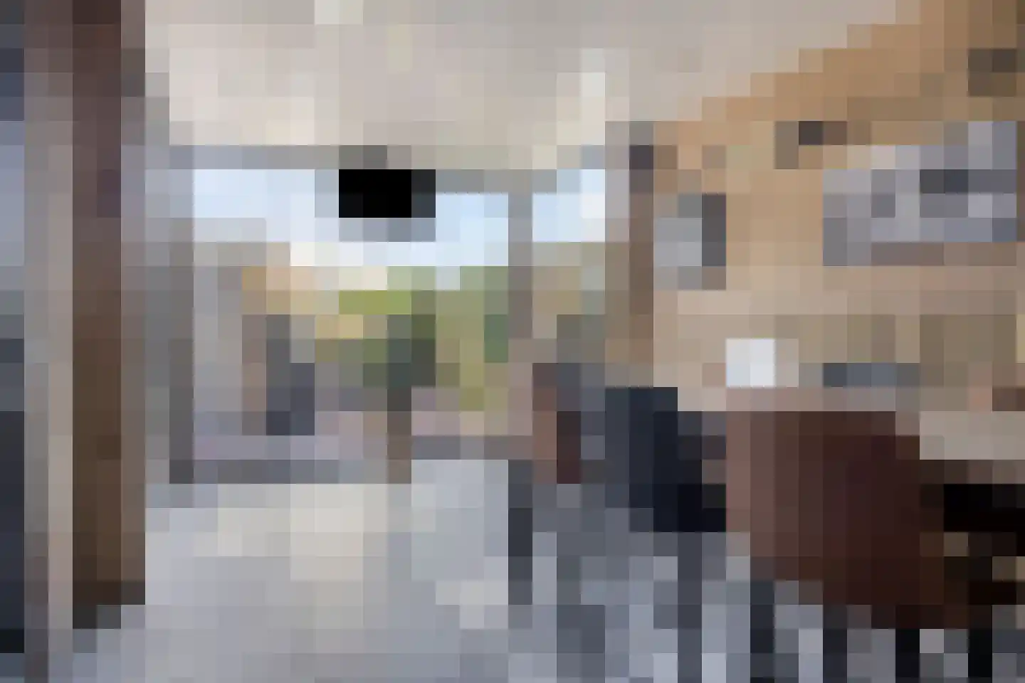 Vogelzang 16 Heino thumbnail 30