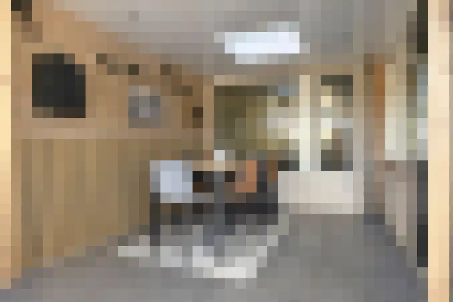 Vogelzang 16 Heino thumbnail 31