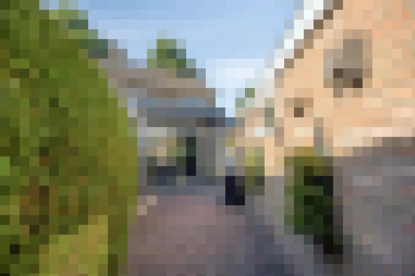 Vogelzang 16 Heino thumbnail 35