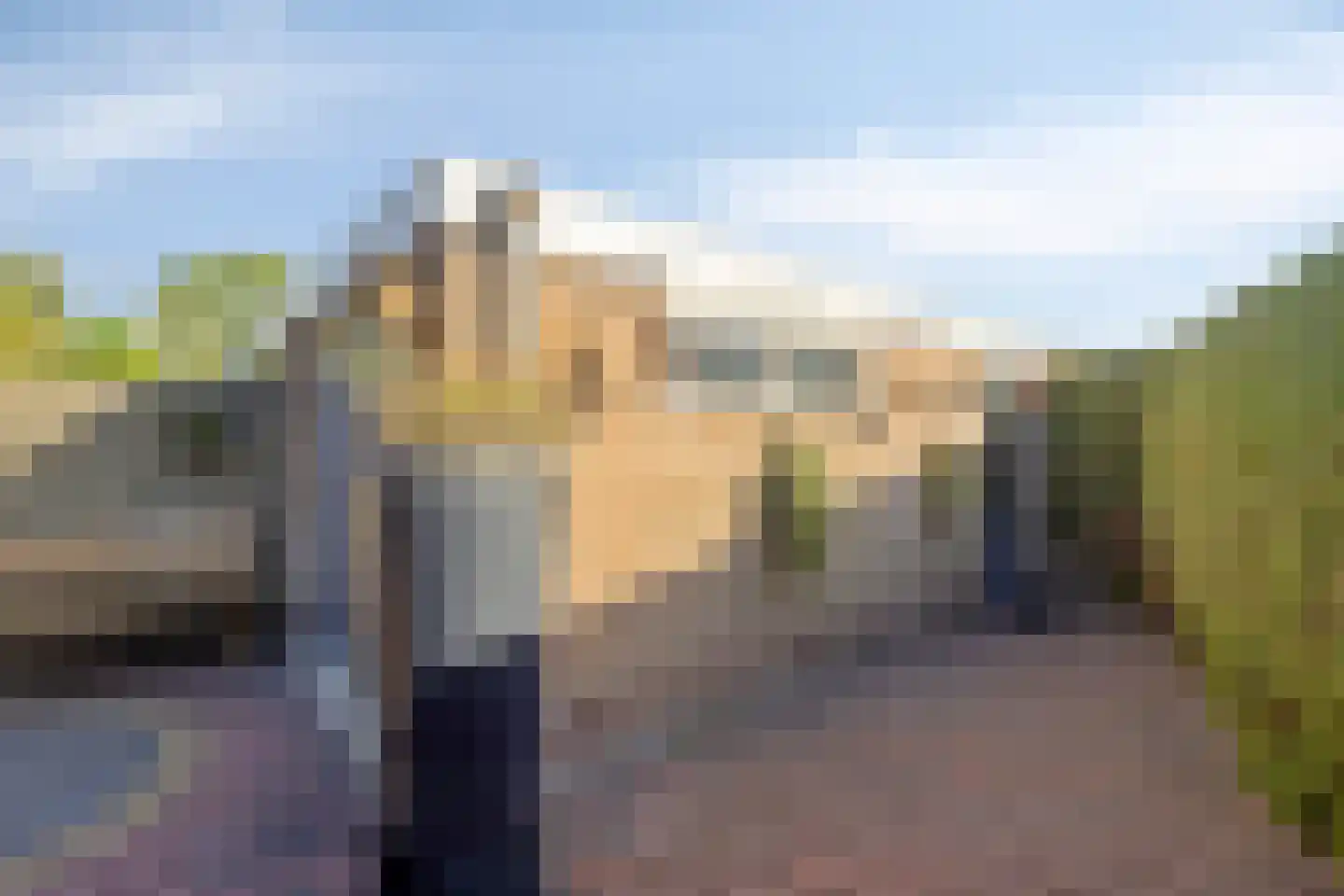 Vogelzang 16 Heino thumbnail 36