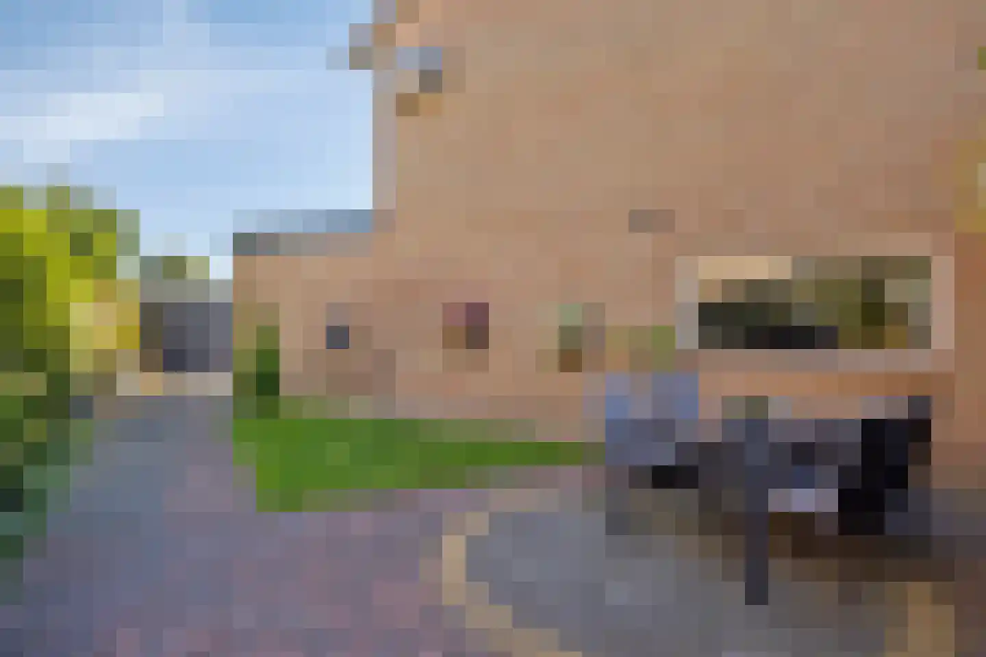 Vogelzang 16 Heino thumbnail 37