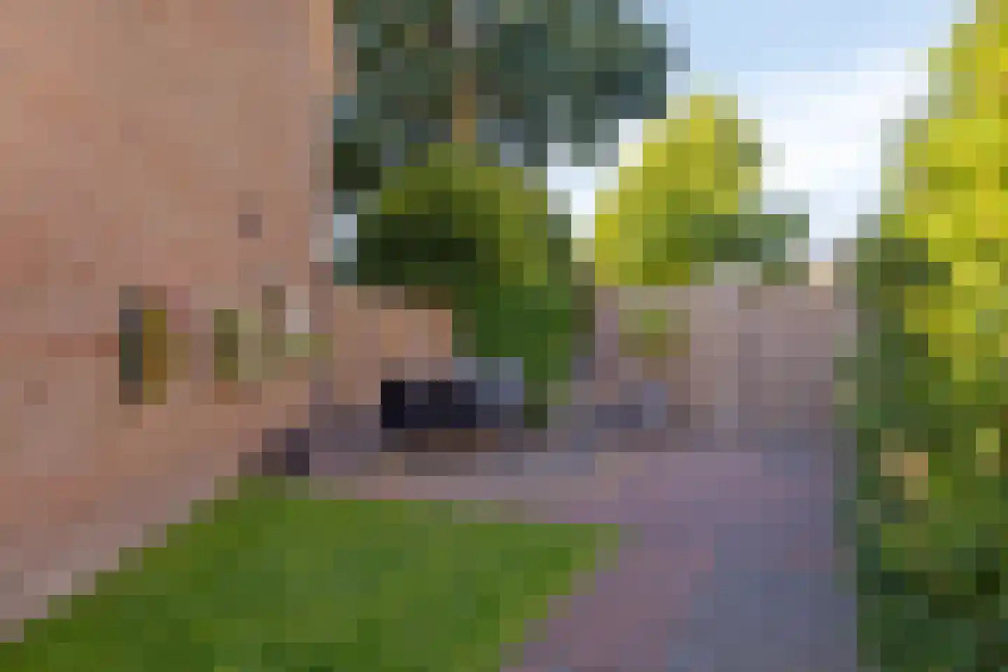 Vogelzang 16 Heino thumbnail 38