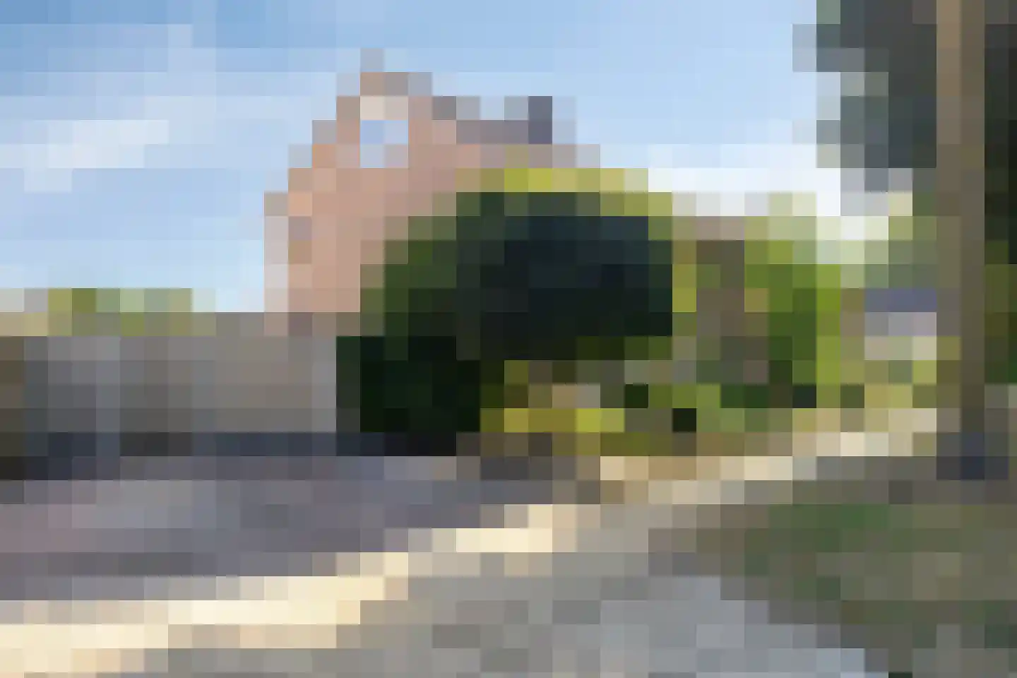 Vogelzang 16 Heino thumbnail 39