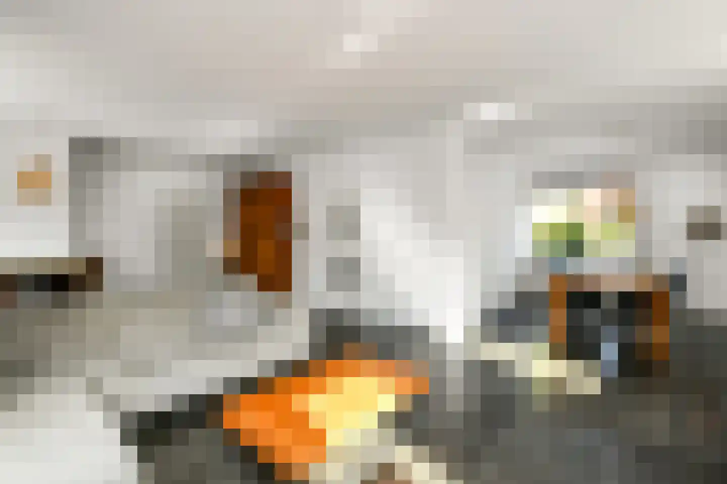 Vogelzang 17 Elst thumbnail 13