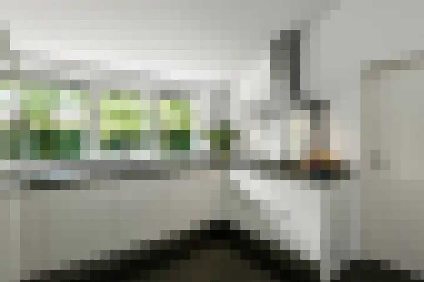 Vogelzang 17 Elst thumbnail 19