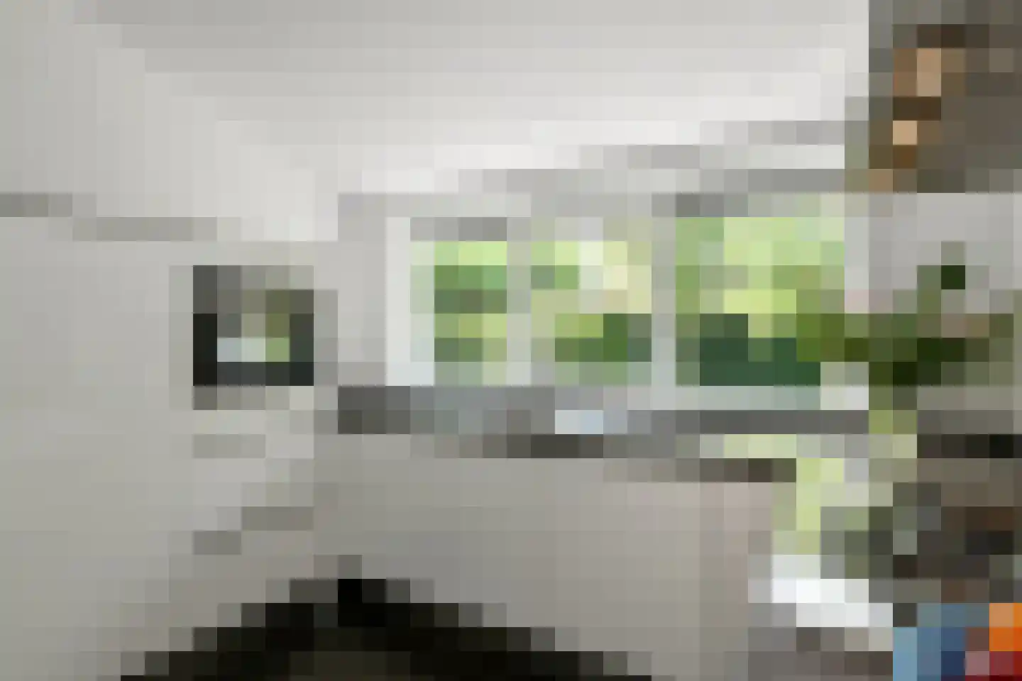 Vogelzang 17 Elst thumbnail 20