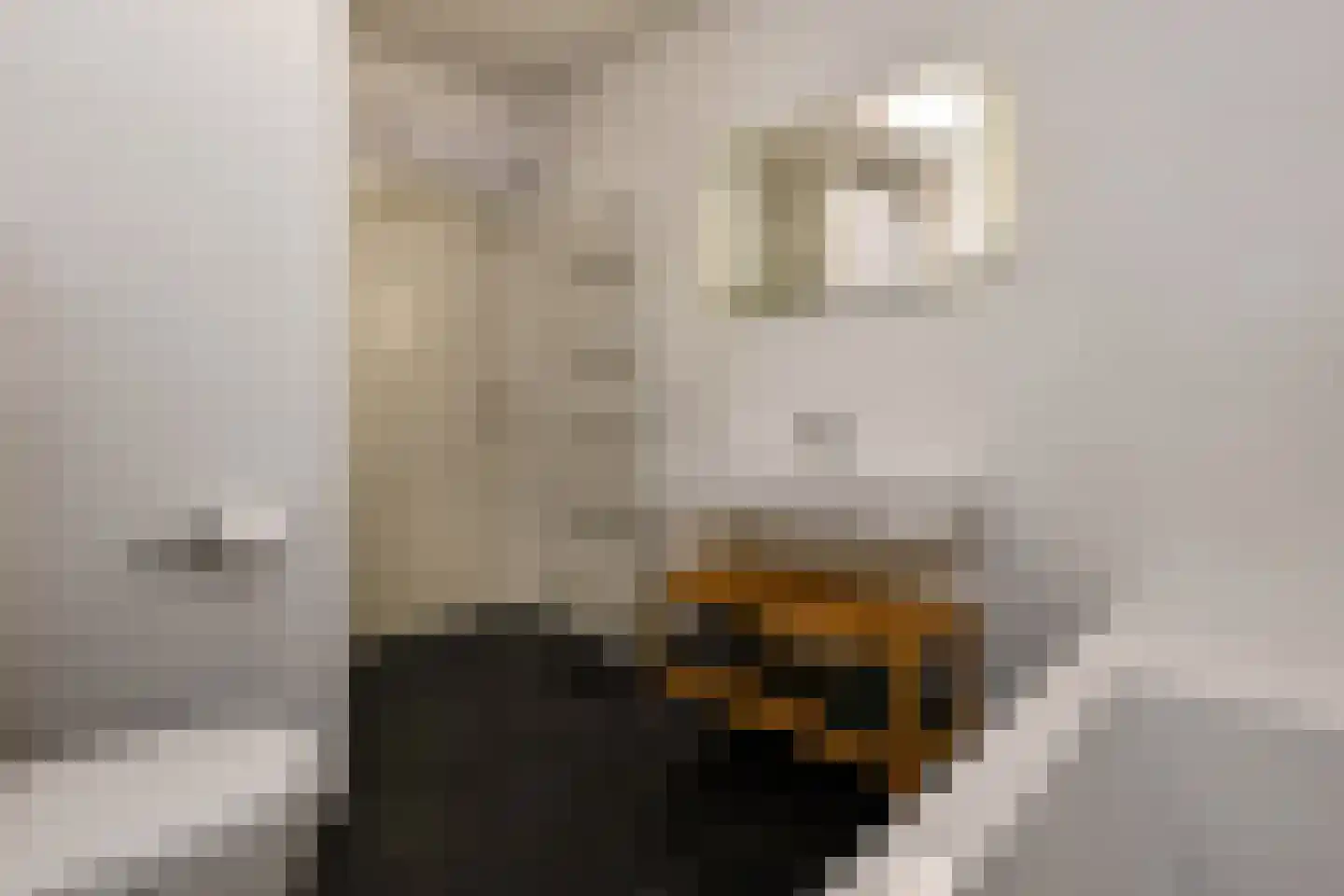 Vogelzang 17 Elst thumbnail 29