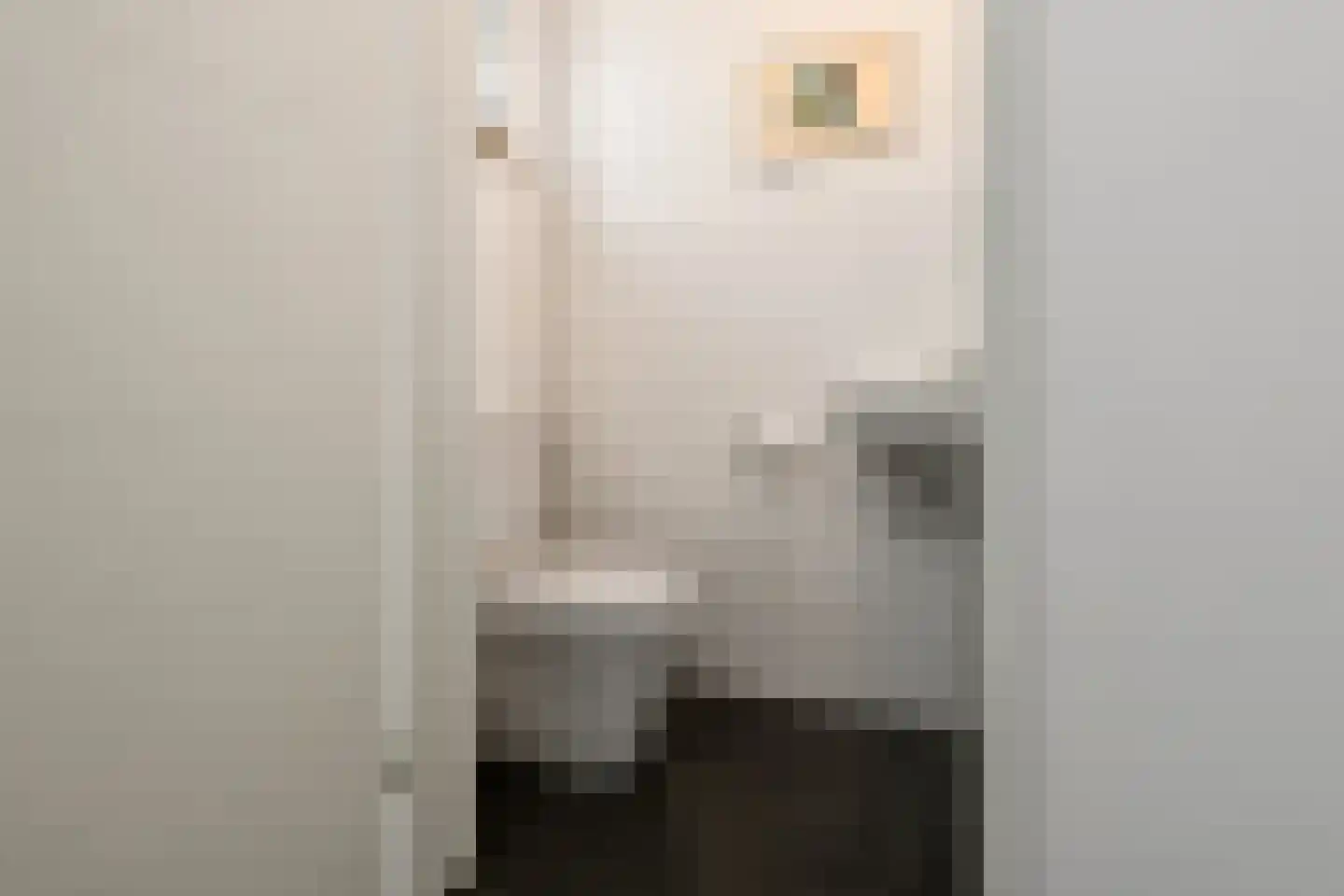Vogelzang 17 Elst thumbnail 31