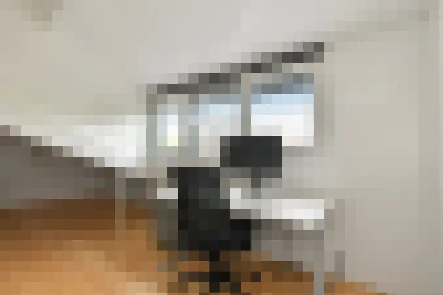 Vogelzang 17 Elst thumbnail 35