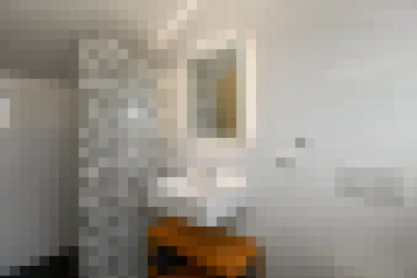Vogelzang 17 Elst thumbnail 42
