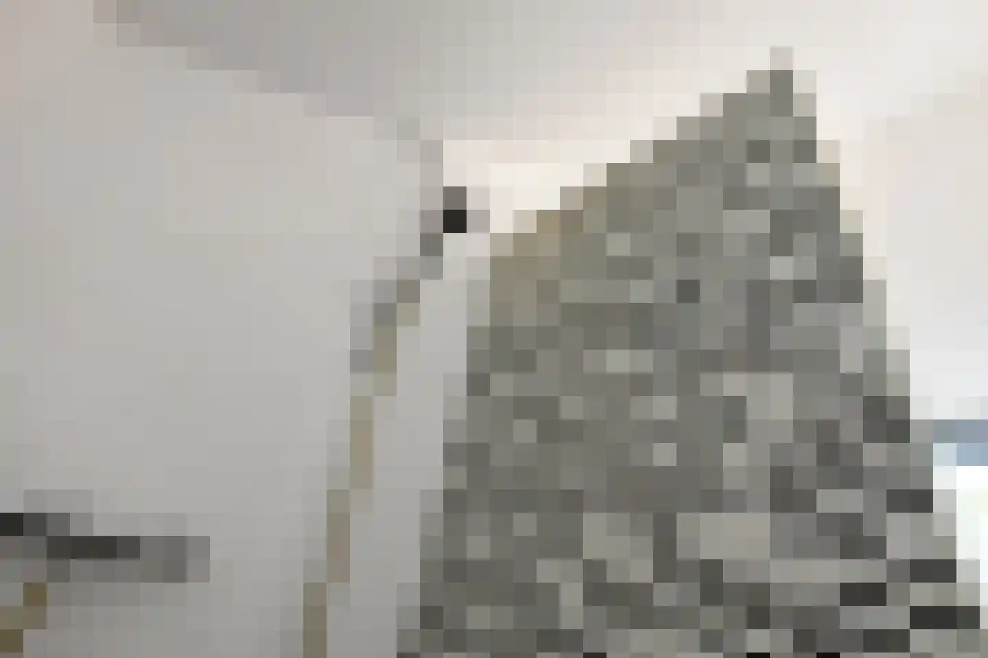 Vogelzang 17 Elst thumbnail 43