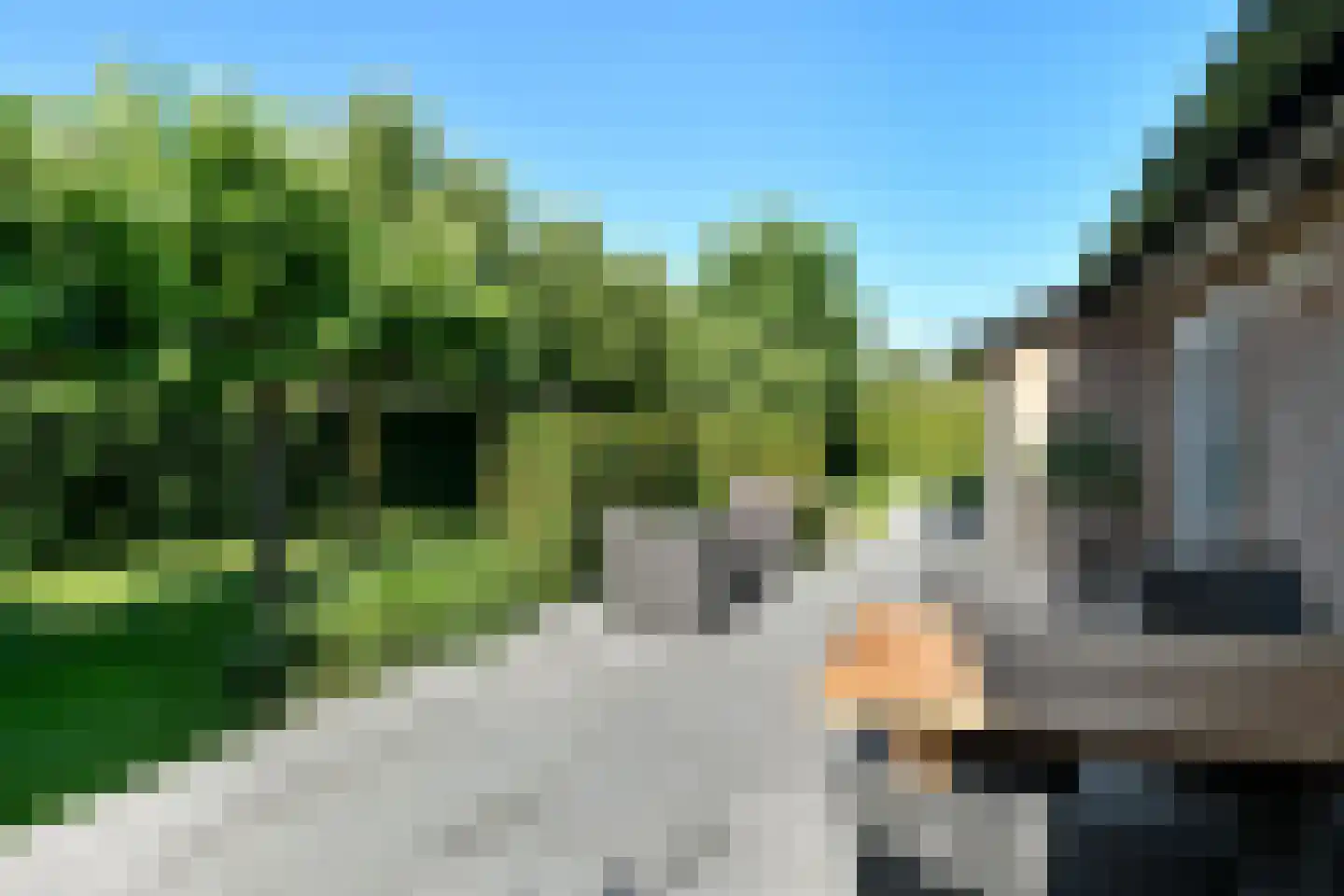 Vogelzang 17 Elst thumbnail 47