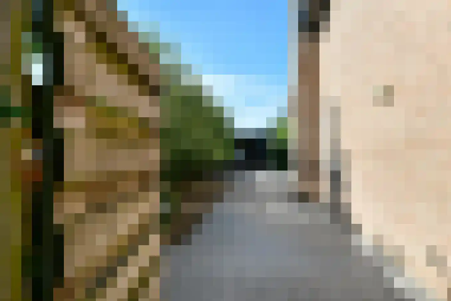 Vogelzang 17 Elst thumbnail 52