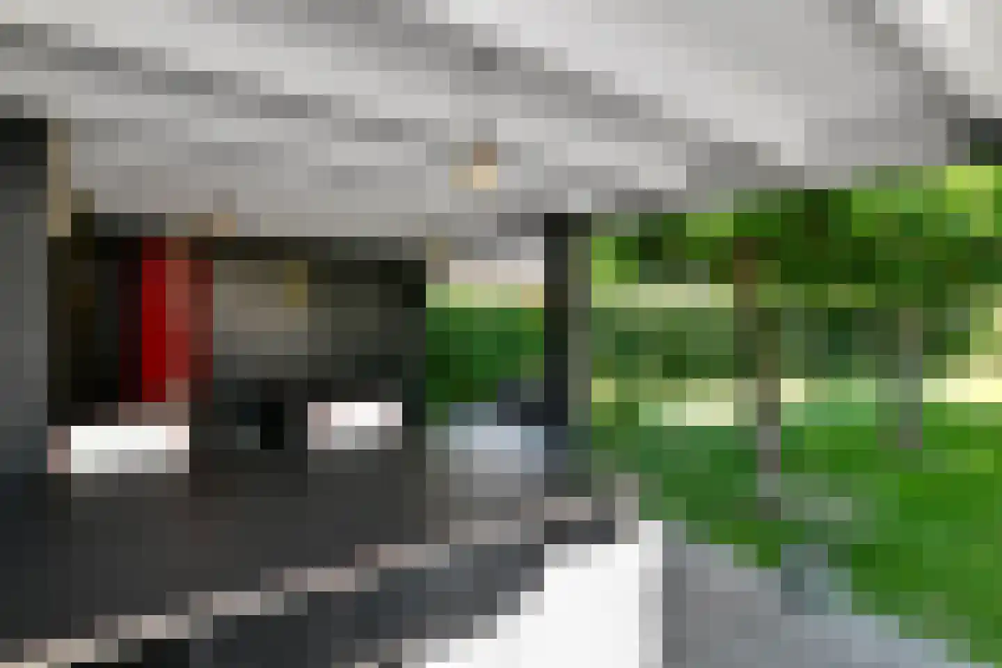 Vogelzang 17 Elst thumbnail 58