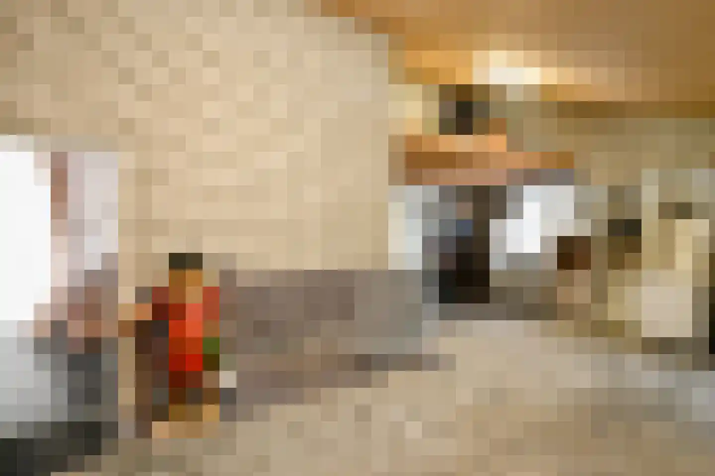 Vogelzang 17 Elst thumbnail 59