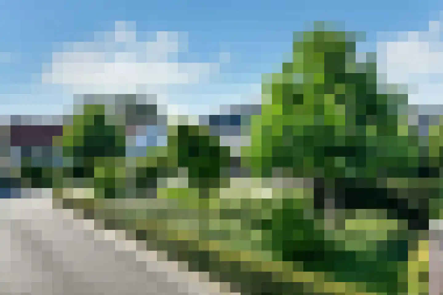 Vogelzang 17 Elst thumbnail 6
