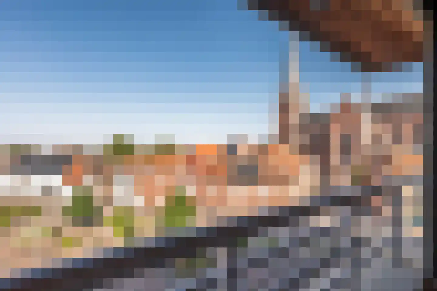 Vogelzang 2 7 Dalem thumbnail 12