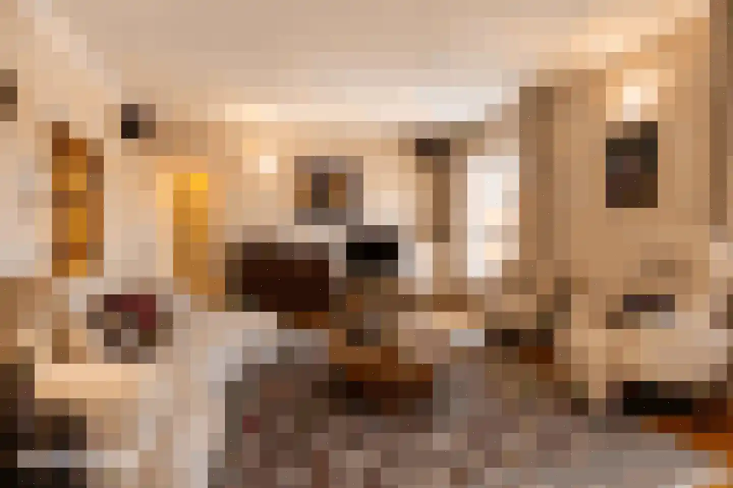 Vogelzang 2 7 Dalem thumbnail 4