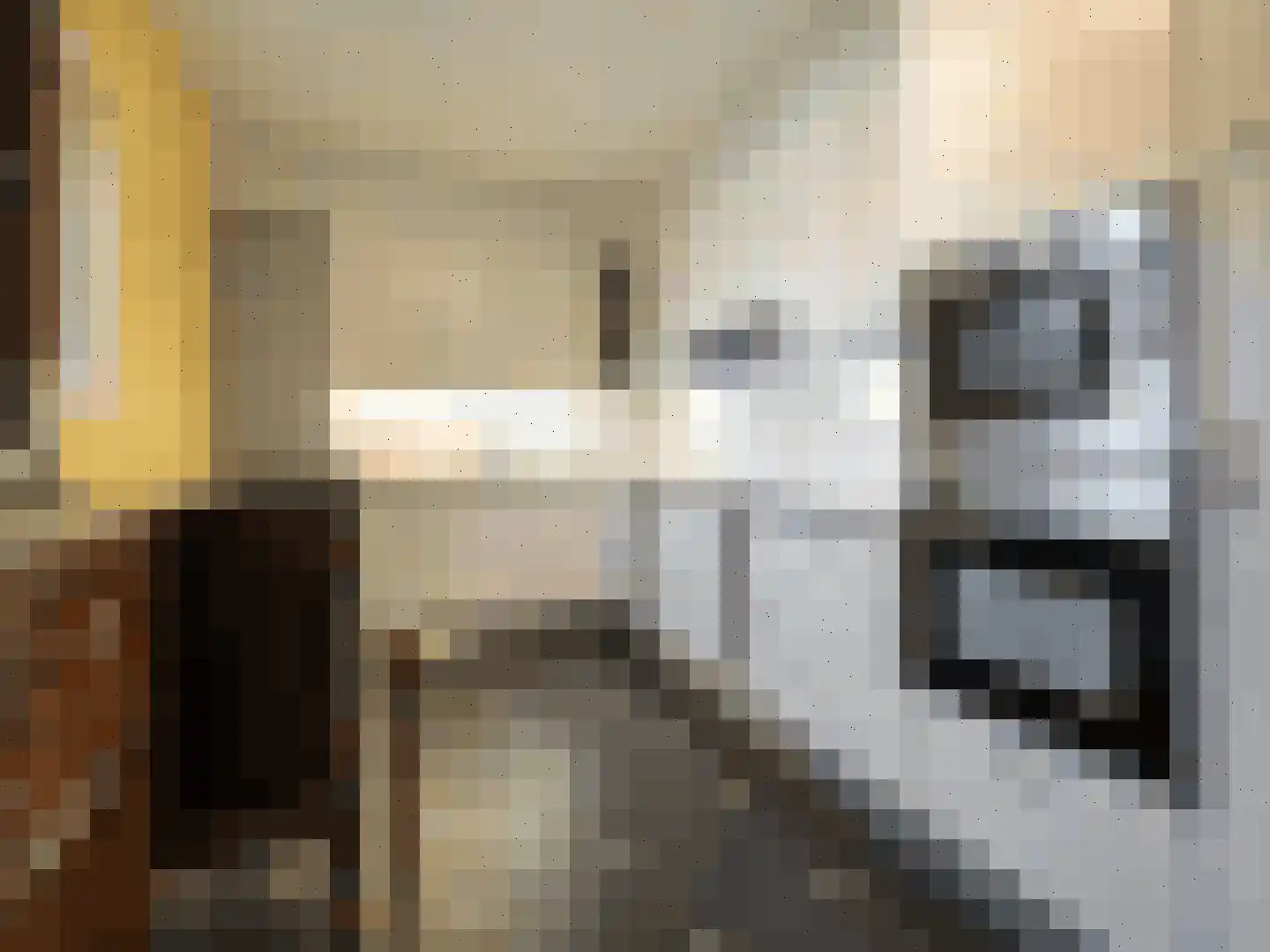 Vogelzang 2 7 Dalem thumbnail 8