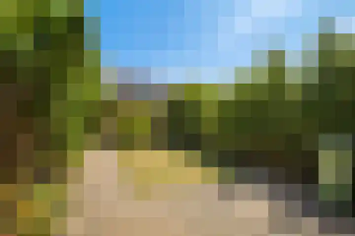 Vogelzang 39 Roosendaal thumbnail 36
