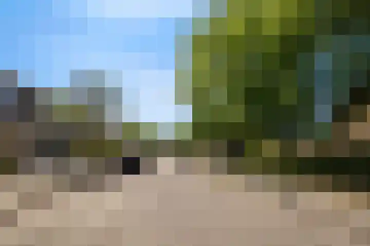 Vogelzang 39 Roosendaal thumbnail 46
