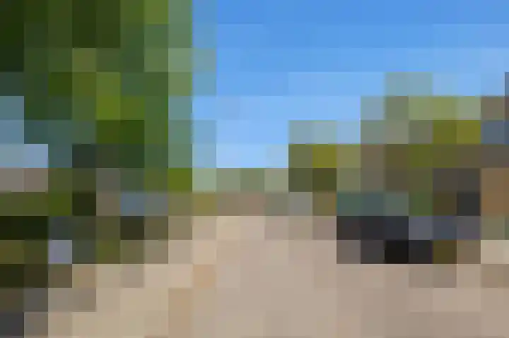 Vogelzang 39 Roosendaal thumbnail 47