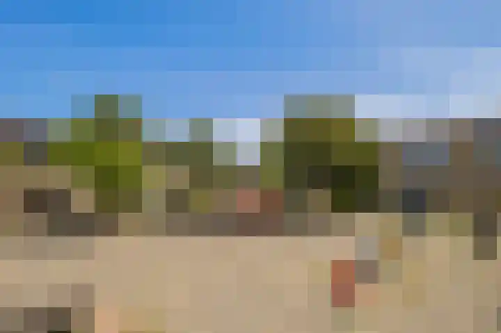 Vogelzang 39 Roosendaal thumbnail 48