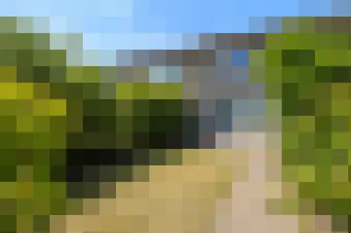 Vogelzang 39 Roosendaal thumbnail 5
