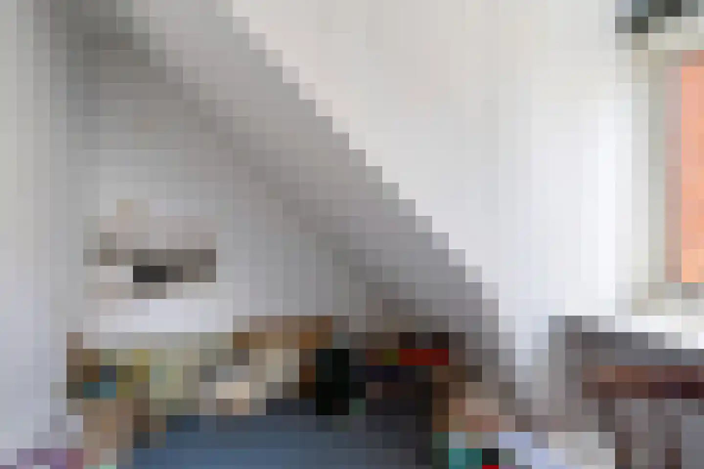 Vogelzang 48 Drachten thumbnail 29