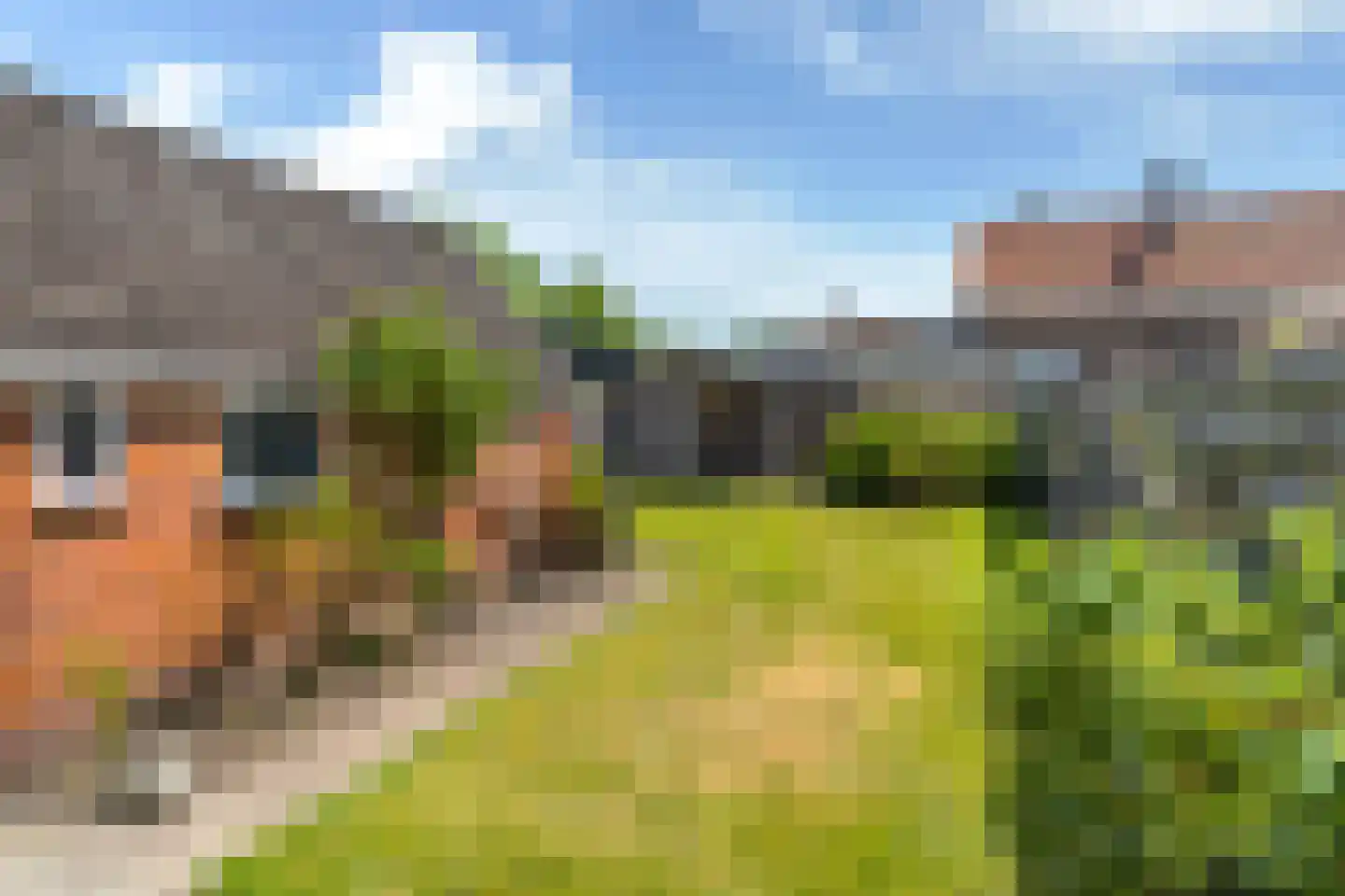 Vogelzang 48 Drachten thumbnail 33