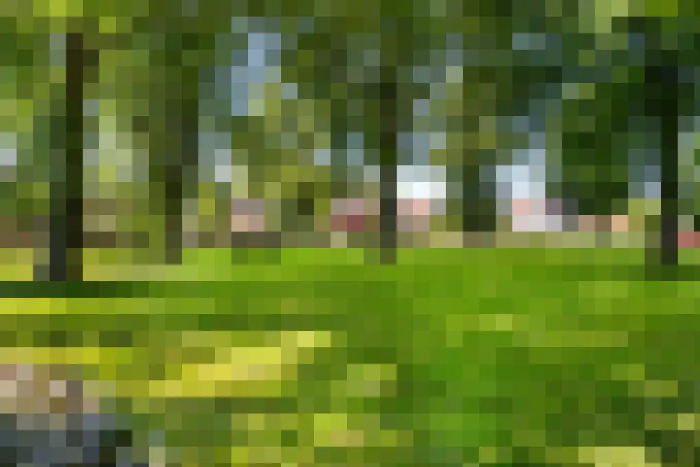 Vogelzang 48 Drachten thumbnail 41