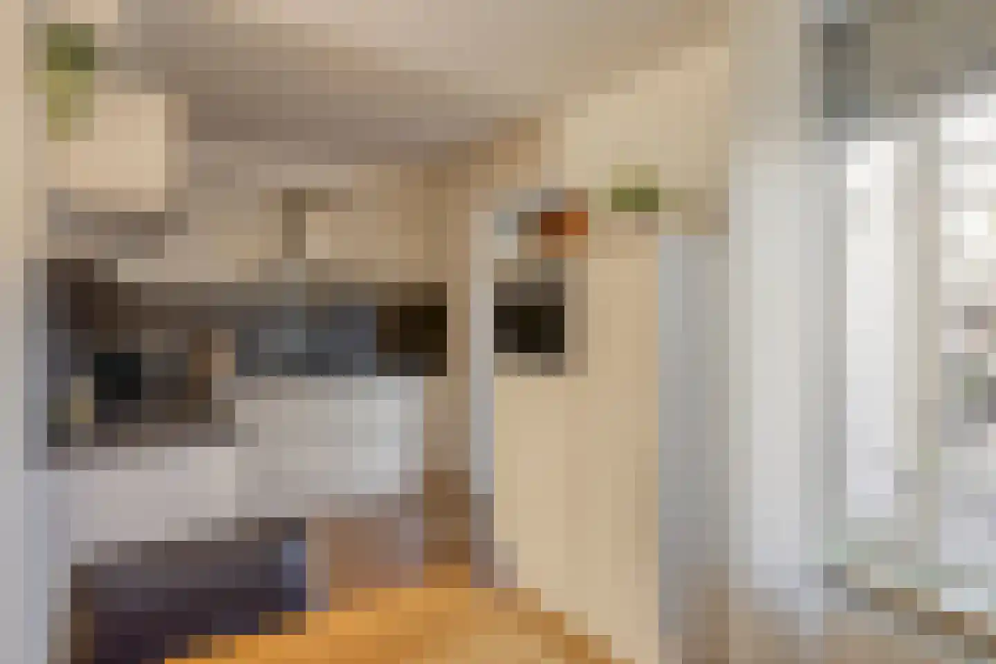 Vogelzang 50 Elst thumbnail 13