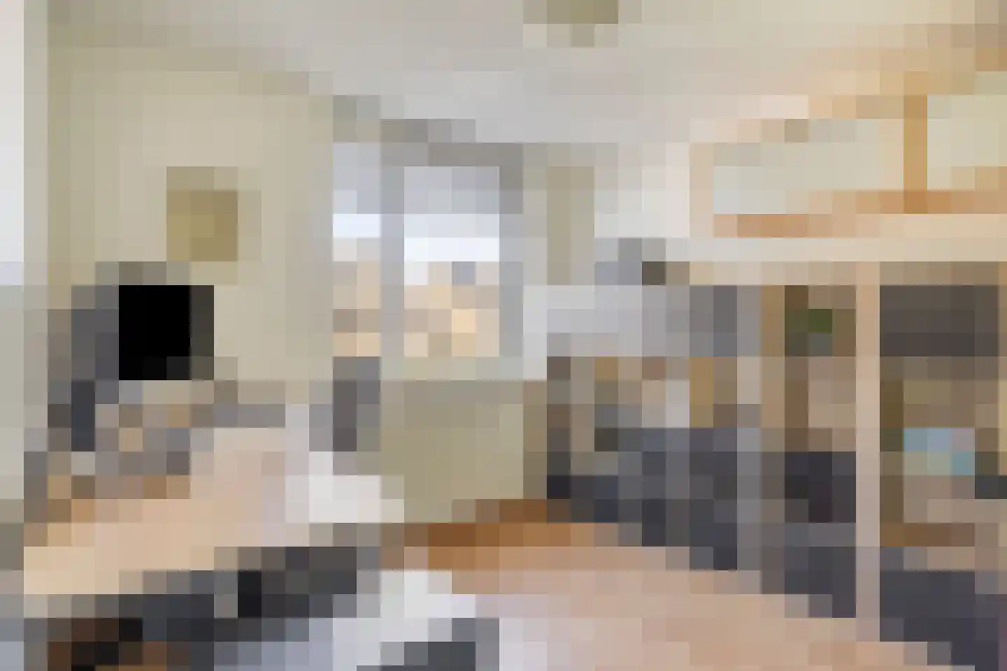 Vogelzang 50 Elst thumbnail 23