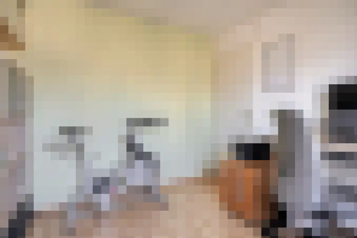 Vogelzang 50 Elst thumbnail 24