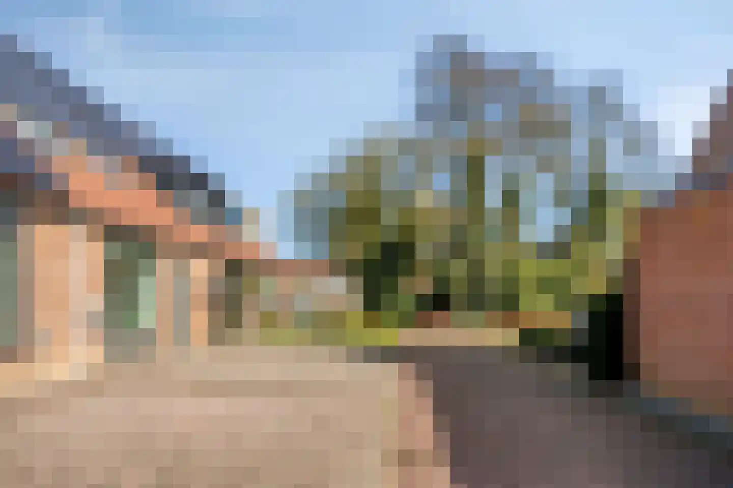 Vogelzang 50 Elst foto 3