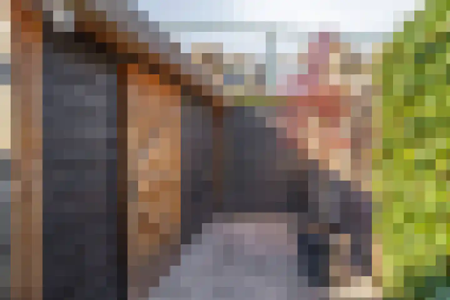 Vogelzang 50 Elst thumbnail 32
